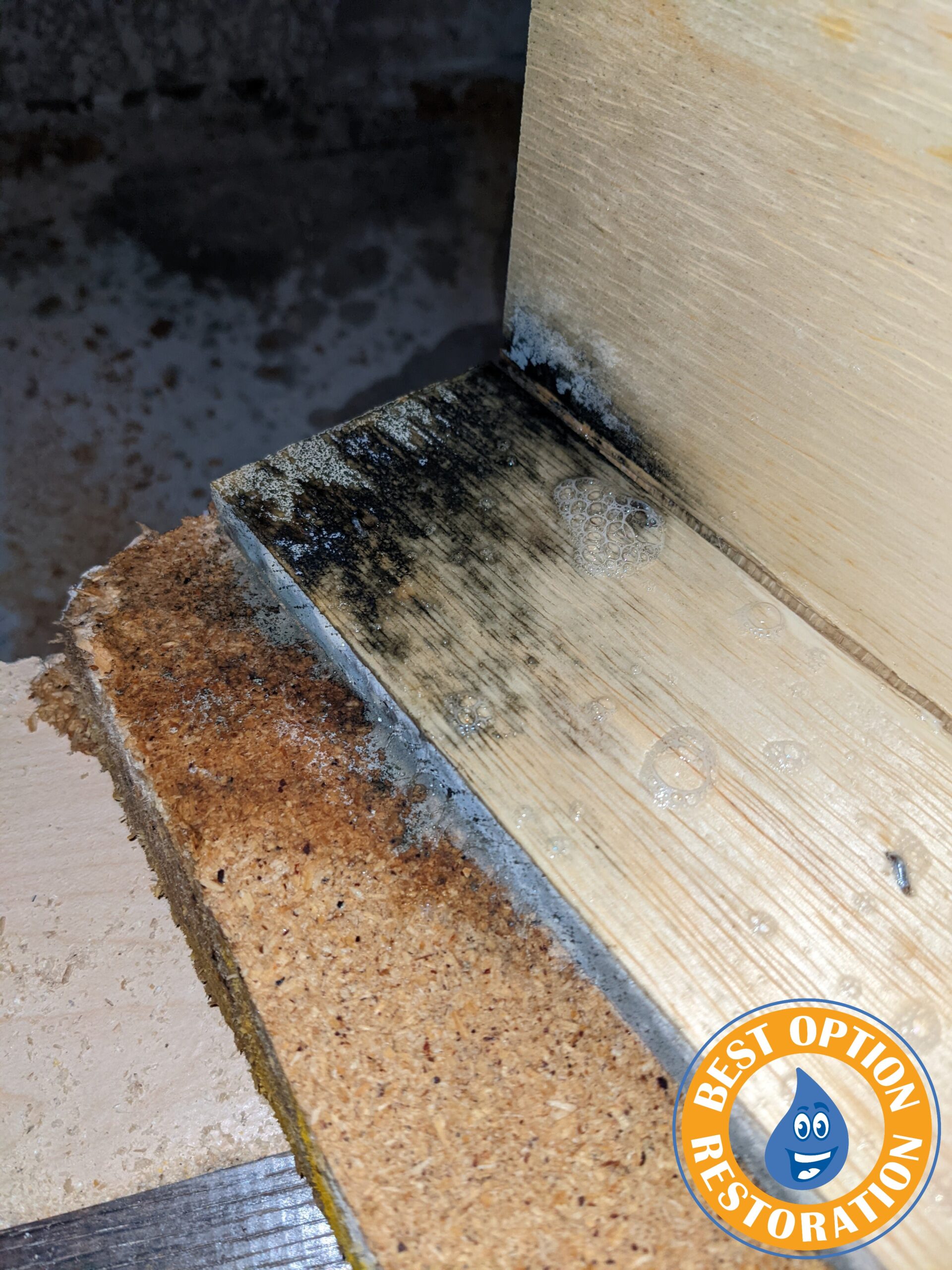 mold damage to bottom of cabinet
