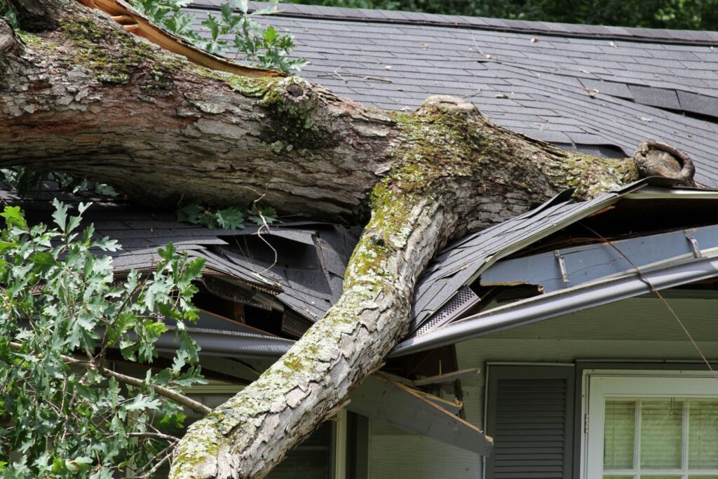 tree fallen on house after storm