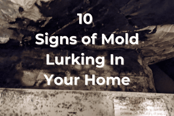 10 Signs of Mold Lurking In Your Home