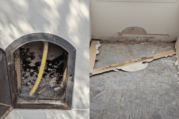 hidden mold growth in home