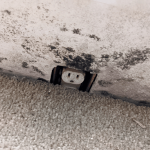 types of mold black mold on wall near outlet