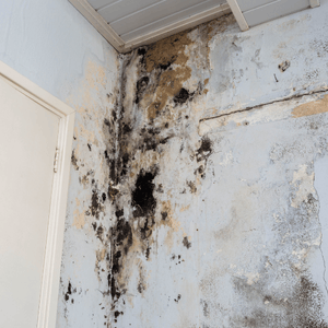 mold and mildew on old water damage wall
