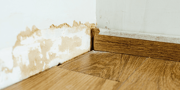New Water Damaged white wall