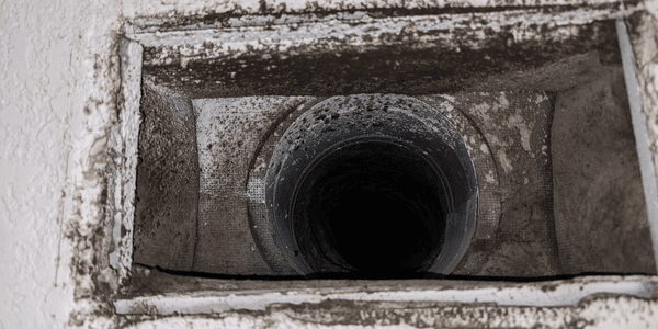 hvac mold growth in vent