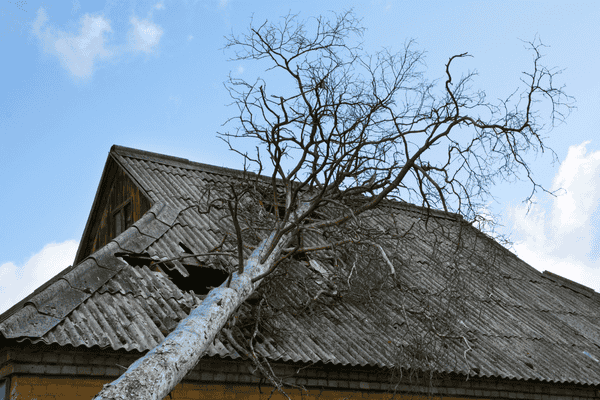 storm damage emergency