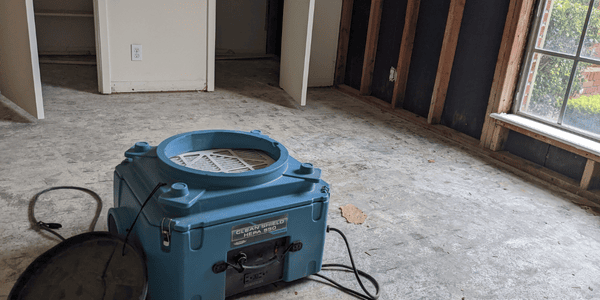 Mold Removal Services in Travis County How Professionals Safely Get Rid of Mold