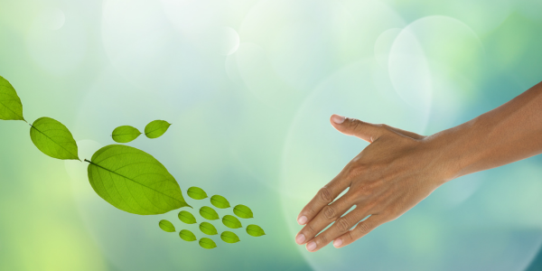 Eco-friendly disaster repair